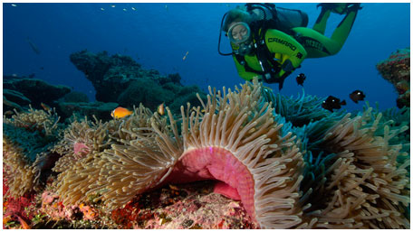 Scuba Diving India